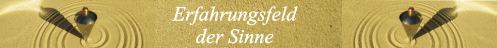 Erfahrungsfeld - erfahrungsfelddersinne.de